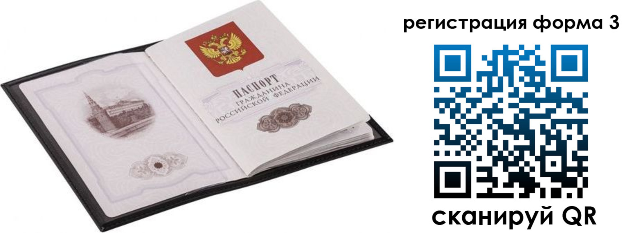 прописка поиск в Курске