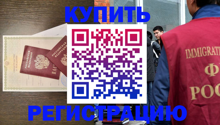 прописка для школы в Курске